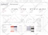 create stunning looker studio or google data studio dashboard