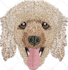 professional embroidery digitizing into dst pes exp