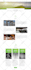 develop an eye catching website