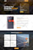 build or rebuild wordpress website, business website