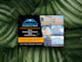 design a professional flyer or brochure for your business