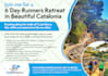 design print ready flyers with bonus