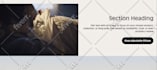 shopify custom coding bug fixing custom section  liquid coding