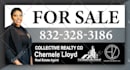 design billboard, yard sign, signage, window graphics and real estate sign