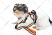 do professional background removal and photo editing