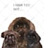 draw minimalist vector pet,dog,cat potraits