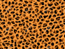 design seamless printing pattern