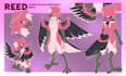 create a furry fursona reference sheet