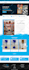 create a responsive wordpress ecommerce online store website