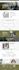 build wordpress website design, redesign, revamp or custom