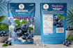 design products sale flyer, poster, and brochure for your business
