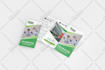 design brochure, trifold, bifold, flyer, leaflet, postcard and catalog