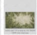 upscale image, enlarge image, resize design for high resolution print quality