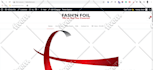 build, install, fix and customize your wordpress website