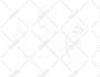 draw any image into vector line art illustration in 3 hours
