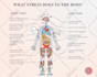design modern infographic flow charts and diagrams