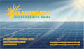 design a professional custom infographic