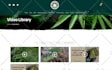 build and customize wordpress website, redesign the landing page design