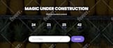 build professional wordpress website design ecommerce website for your business