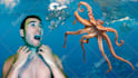 create viral youtube thumbnail design for you