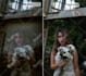 do photoshop image editing retouching and photo manipulation