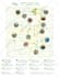 illustrate 2d vector map, city map, campground site