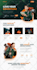 design a clean and responsive business wordpress website