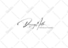do fully custom handwritten signature or monogram logo