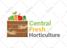 do professional modern unique natural business logo design