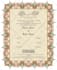 make custom illustrated wedding invitation cards
