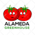 remake redraw redesign your logo raster to a vector file