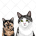 draw minimalist realistic pet vector art