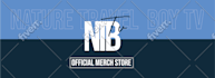 build merch store for your youtube shop channel