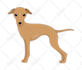 create cute cartoon character mascot or animal