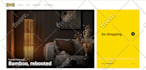 do professional website design and development on framer
