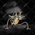 do object and background removal, cut out images, white, transparent