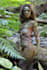 retouch your products like cosmetics jewelry and apparel