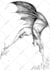 create pen and ink illustration