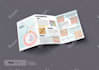 do awesome brochures, flyers, menus and banners