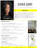 design professional one sheet, flyer, one page, press kit in 2hrs