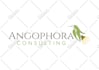 design a custom hand drawn, botanical, flower, feminine logo
