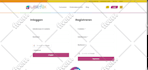 be your wordpress elementor expert for elementor website by elementor pro