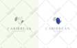 design custom hand drawn botanical logo
