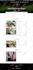 build responsive business wordpress website design