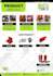 create a digital flyer, brochure and print for your business