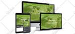 design, redesign or develop premium wordpress website with elementor