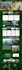 create a professional travel blog wordpress website design