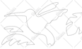 draw vector black and white line art illustration