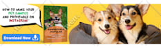 do any graphic design related service and digital art