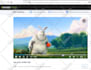 install wowza streaming engine live streaming